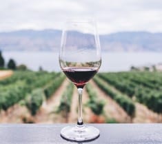 Rødvin fra Spanien Rødvin fra Spanien