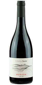 Antoine Sunier, Morgon 2023