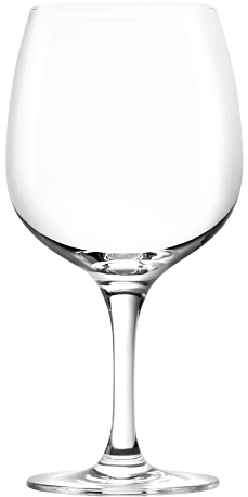 Stölzle Lausitz, Gin & Tonic Glass